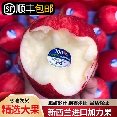 苹果新鲜美味樱花粉苹果冰糖心