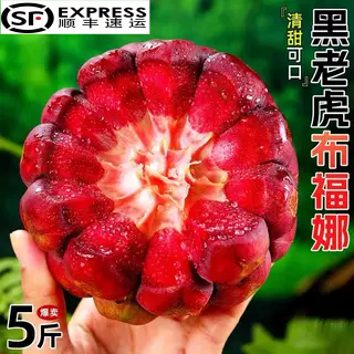 顺丰新鲜黑老虎水果大血藤果布福娜酒饭团稀奇古怪当季稀有恶魔果