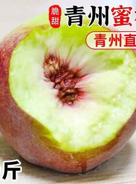 山东青州蜜桃水果新鲜冬雪蜜脆桃子冬桃毛桃丑桃整箱当季金秋红蜜