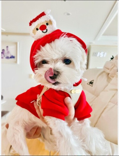 圣诞宠物衣服圣诞老人帽子猫咪衣服狗狗圣诞树卫衣比熊泰迪变身装