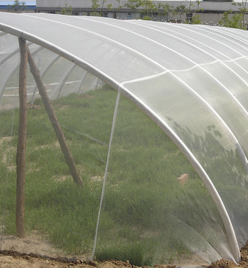 果树防鸟用的网家用户外防护通用防虫网防鸟网耐用大棚防果蝇保护|ruв категории доставка цветов/цветок моделирования/растения садоводства, садовых принадлежностей, других садовых принадлежностей - от Buy2taobao.com для оказания профессиональной услуги покупки агента Taobao