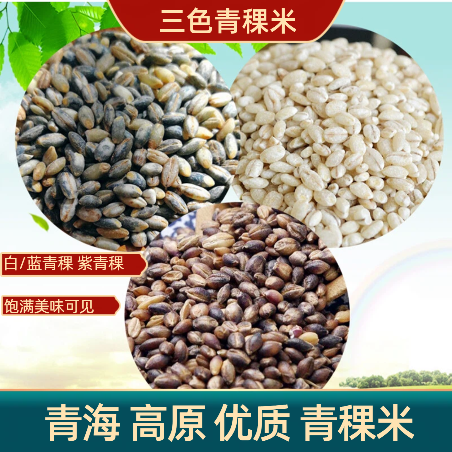 新米高原青海青稞米蓝青稞麦仁黑青稞米仁稀饭杂粮真空粗粮500g