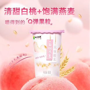 青海小西牛燕麦酸奶青海老酸奶白桃燕麦酸奶高原青稞酸奶180g*12