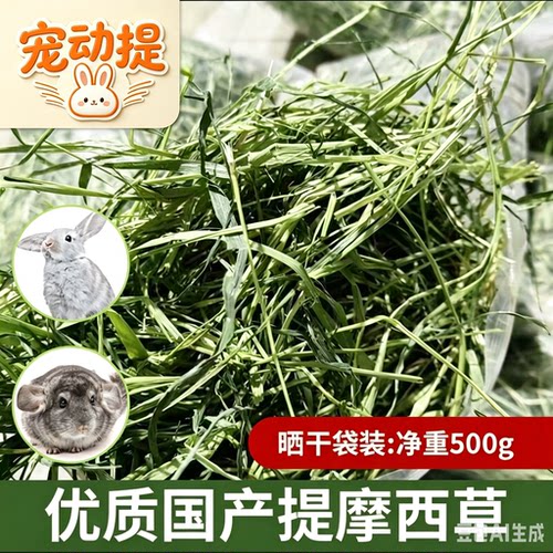荷兰猪兔兔干草提莫西草兔子