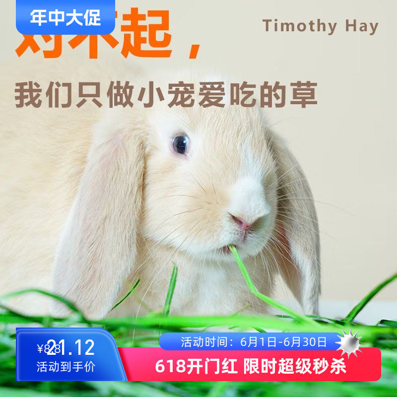 产地直供5S级提摩西草烘干优质新鲜小宠优选干草