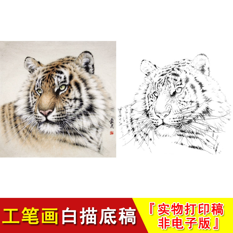 老虎头工笔画白描底稿小品斗方动物国画临摹素材大幅练习起稿wh14