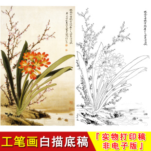 JV36 俞致贞国画花鸟工笔画底稿君子兰花白描素材实物打印非电子版