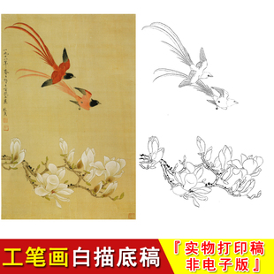 俞致贞工笔画花卉花鸟玉兰绶带小品临摹勾稿实物打印白描底稿GV02