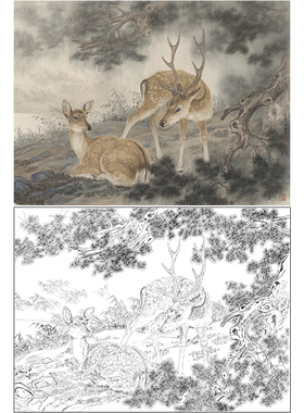 工笔画动物鹿白描底稿高文刚《双鹿》临摹勾线高清打印线稿A643