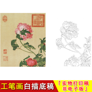 郎世宁工笔花鸟白描底稿仙萼长春册牡丹国画入门临摹高清素材LT01