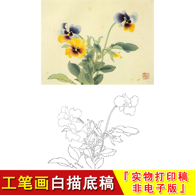 俞致贞花鸟工笔白描底稿三色堇小品国画初学过稿临摹实物打印jv52