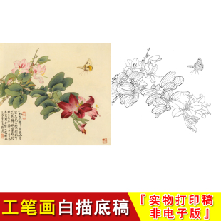 俞致贞花鸟小品紫荆蝴蝶工笔画白描底稿高清国画覆盖临摹起稿JV17