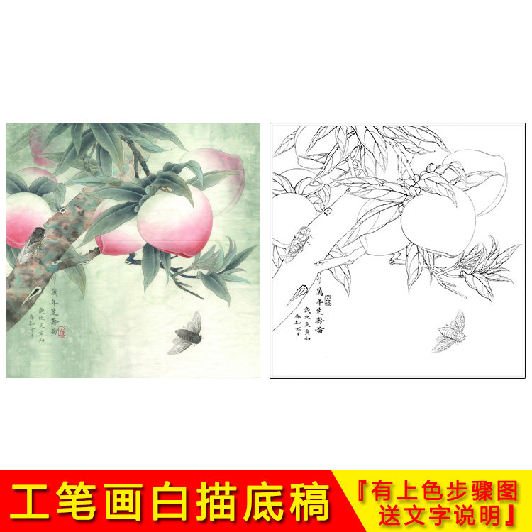 国画工笔画白描底稿小品花鸟寿桃初学临摹勾线起稿实物打印ya07