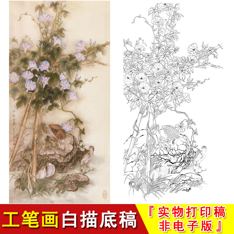 梁燕生工笔画白描鹌鹑牵牛花-千秋安康-四尺六尺临摹素材底稿a012