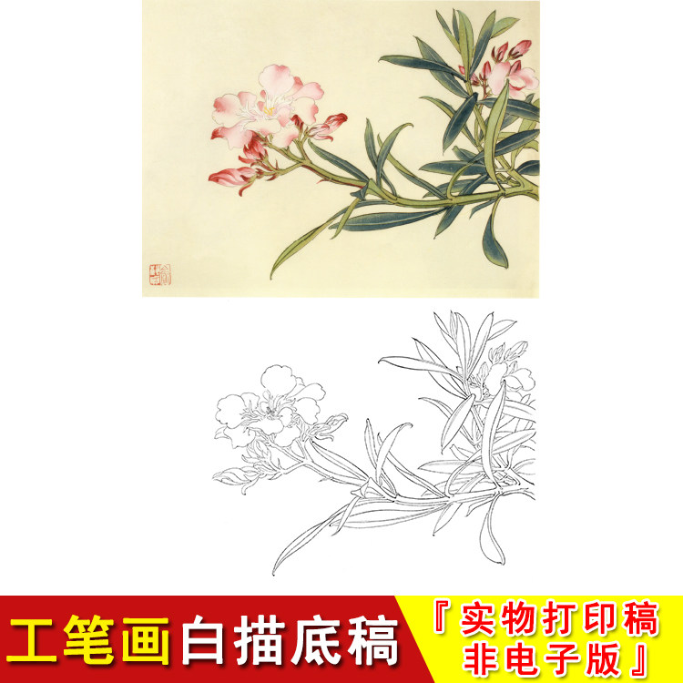 俞致贞花鸟工笔白描底稿夹竹桃小品国画简单教学临摹实物打印jv61
