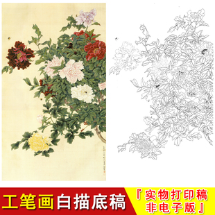 俞致贞高清国画工笔画白描花鸟牡丹临摹线描素材实物打印底稿HV01