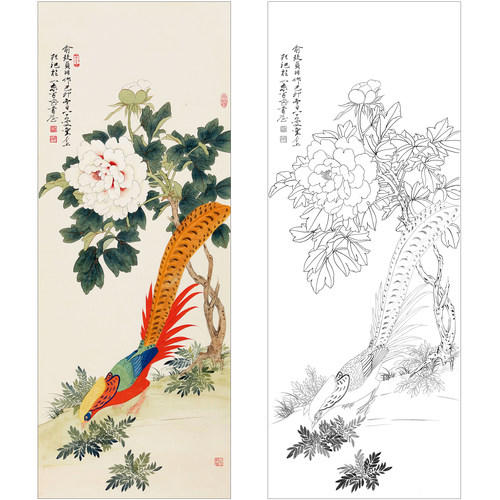 俞致贞花鸟工笔画白描底稿《牡丹锦鸡》临摹勾线实物打印线稿ZZ64