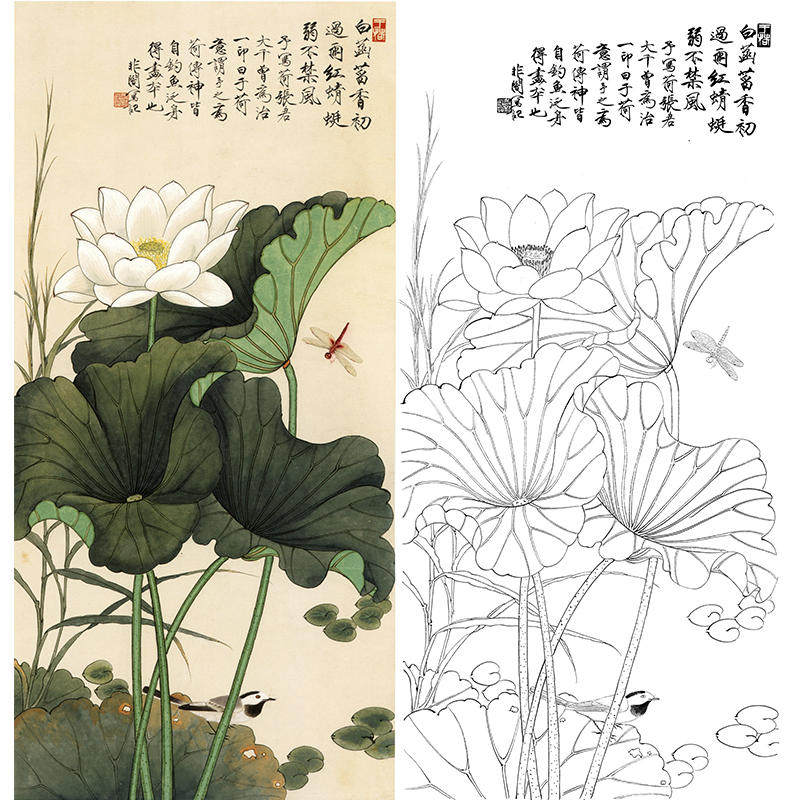 于非闇工笔画白描底稿花鸟荷花百荷蜻蜓实物打印线描宣纸临摹yf06