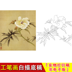 俞致贞花鸟小品秋葵工笔画白描底稿高清国画覆盖临摹勾线起稿JV22