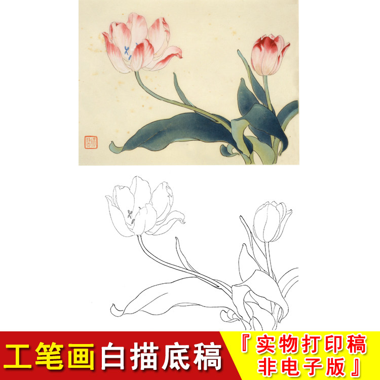 俞致贞花鸟工笔白描底稿郁金香小品国画初学过稿临摹实物打印jv59
