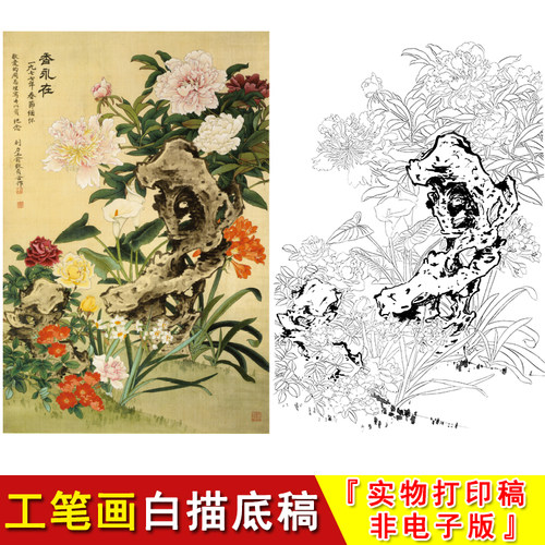 俞致贞高清工笔画牡丹香永在临摹练习透过稿实物打印白描底稿JV04