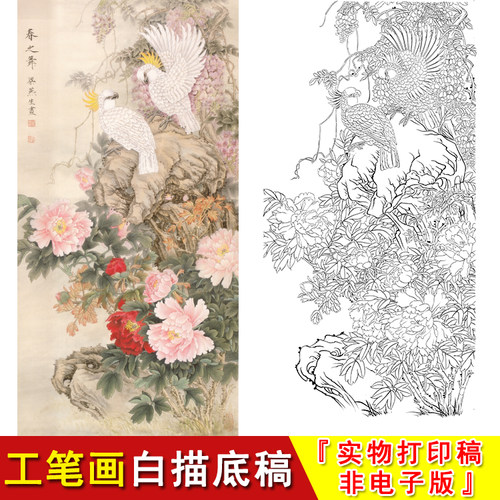 工笔白描底稿国画竖幅四尺六尺花鸟-牡丹鹦鹉 梁燕生-春之舞-A024