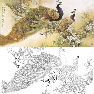 横幅梅花孔雀工笔画白描底稿张玉明《香沁锦衣》实物打印线稿A075