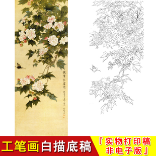 俞致贞高清工笔画芙蓉挺秀拒霜寒临摹勾线实物打印白描底稿JV07