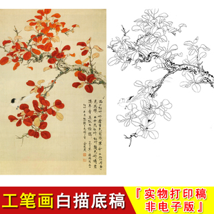 工笔画白描底稿国画花鸟俞志贞红叶临摹起稿练习素材实物打印HV08