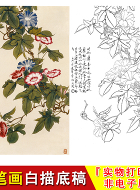 工笔画白描底稿线条牵牛花国画花鸟大幅临摹勾线练习素材竖幅YF21