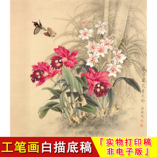 国画 梁燕生 斗方小品花鸟蝴蝶 工笔画白描底稿 线稿临摹素材A277