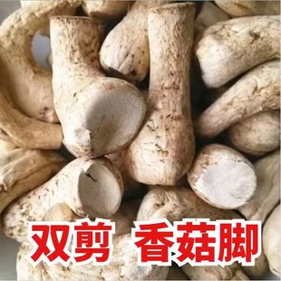 云南香菇脚干货土特产500g山珍菌农家双剪香菌脚新货干净无杂无硫