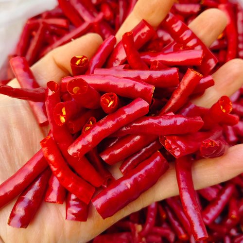 云南丘北干辣椒段海椒节炒菜餐饮