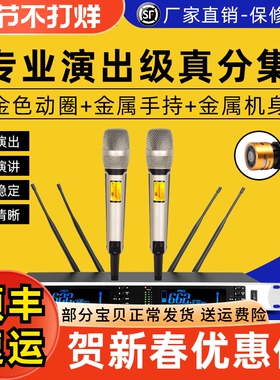 Glen ralston/格伦士顿专业一拖二无线话筒真分集U段麦克风500米