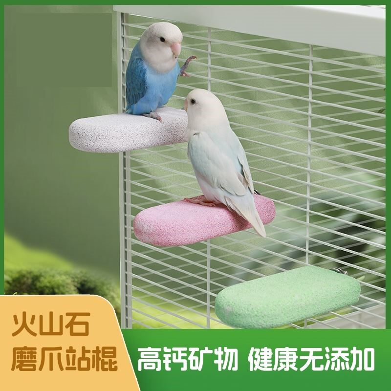 鹦鹉雪糕站台啃咬发泄站板