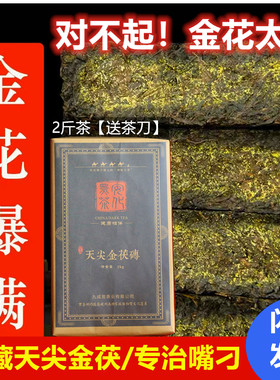 安化黑茶金花茯砖茶厂家直发