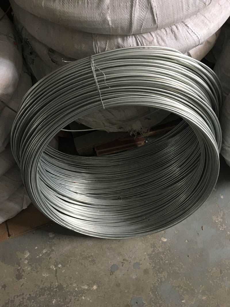 特價8號鍍鋅鐵絲BWG8#4.0mm鍍鋅絲捆紮建築工藝絲電鍍絲50公斤裝在類目 鮮花速遞/花卉仿真/綠植園藝, DIY仿真花材料, 製作材料（新）, 鐵絲中 - 來自Buy2taobao.com提供專業的淘寶代購服務