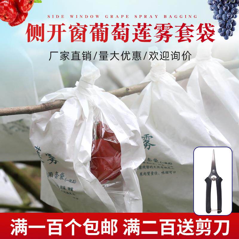 莲雾套袋防虫袋专用释迦葡萄纸袋防雨防水水袋子果包果袋连雾保护