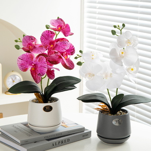 饰塑料花束绢花盆栽 假花仿真花摆设客厅餐桌花艺摆件蝴蝶兰家居装