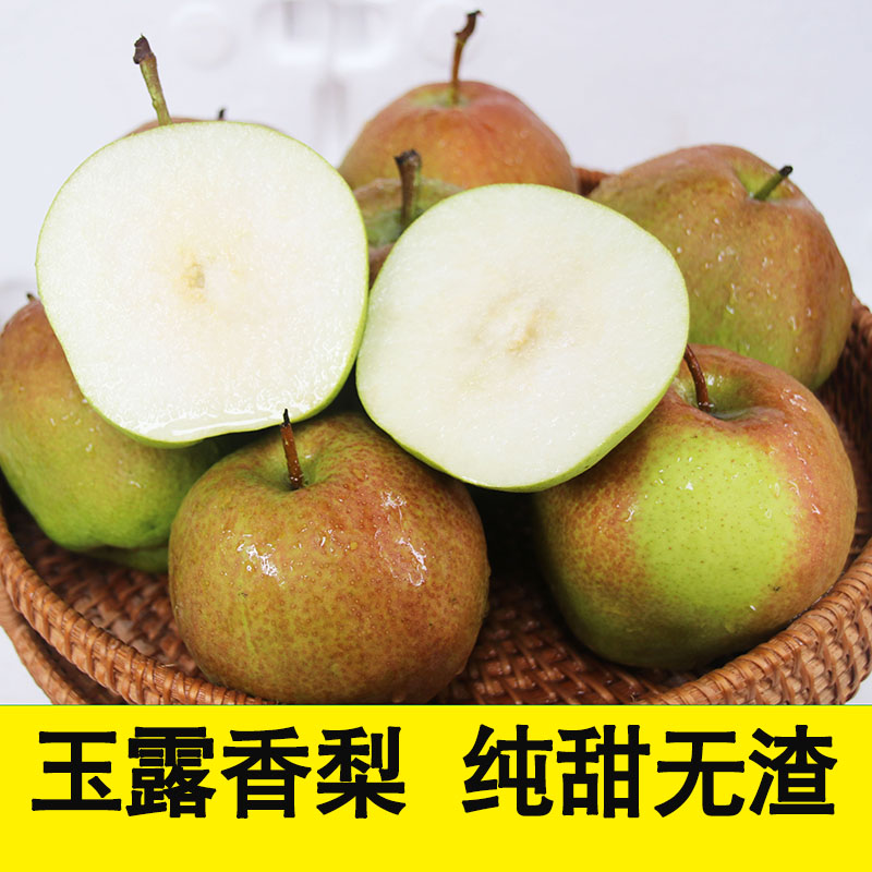 陕西玉露香梨脆甜梨子新鲜现摘时令应季水果 整箱包邮