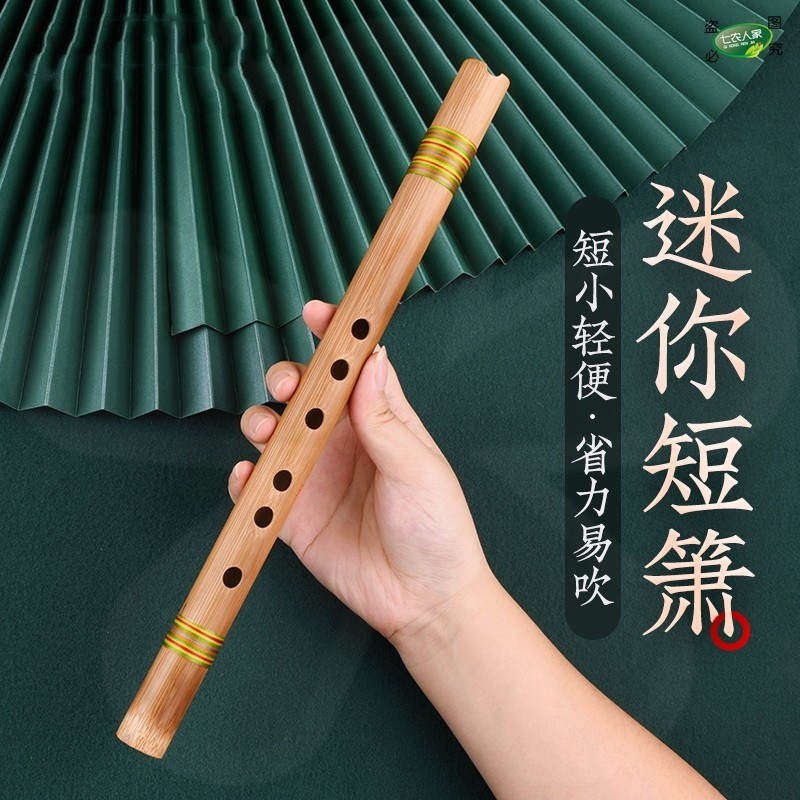箫乐器初学者零基础入门儿童成人专业演奏苦竹迷你短萧用嘴吹奏类