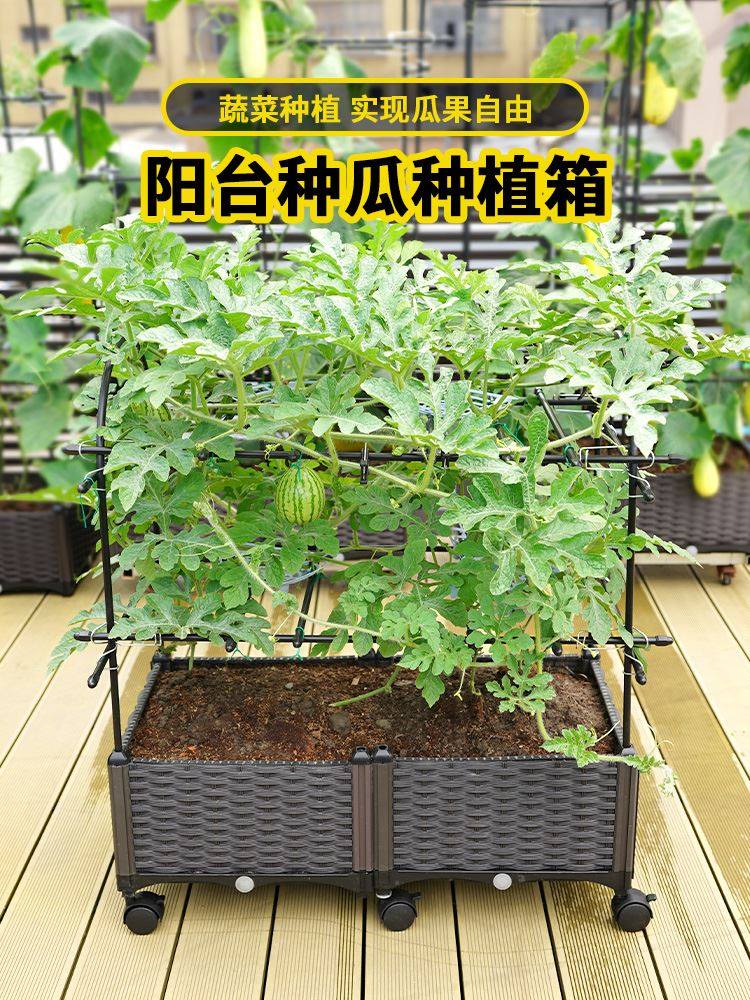 西瓜种植箱种菜盆花盆爬藤架黄瓜盆花园藤架家庭楼顶阳台菜园蔬菜