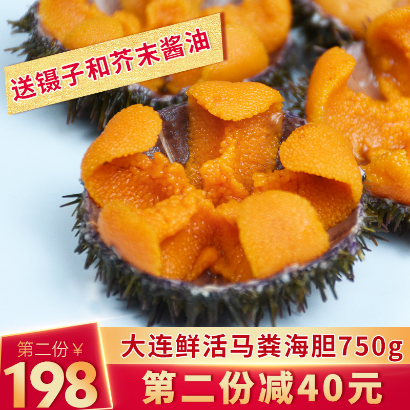 大连小平岛马粪海胆鲜活即食新鲜刺身日料海胆海鲜水产活鲜750g