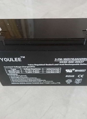 有利蓄电池 3-FM-10A 6V10AH 玩具车 童车用电瓶 XK06-006-00527