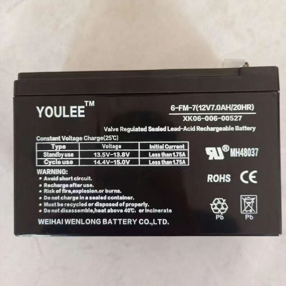 YOULEE蓄电池6-FM-712V7.0AH/2