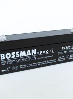 BOSSMAN蓄电池 PROFI 6FM2.3 12V2.3AH/20HR 免维护可充电电池