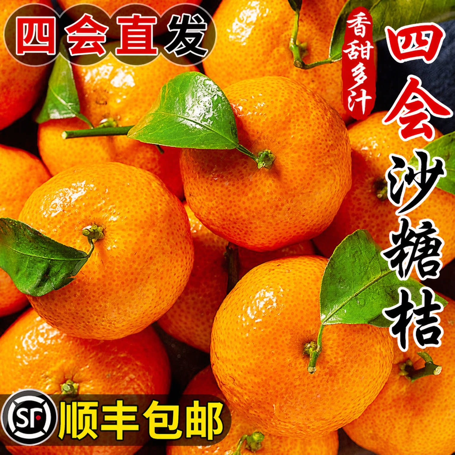 正宗广东四会沙糖桔顺丰包邮
