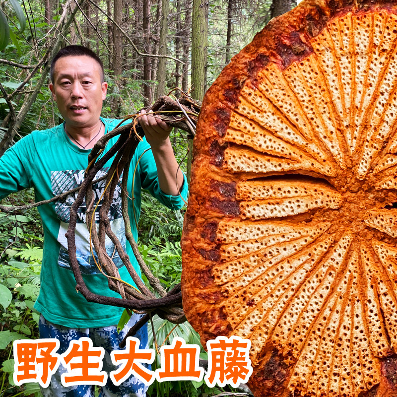 野生大血藤中药材500g深山红藤滕脑血通片大活血腾血塞通泡酒泡茶