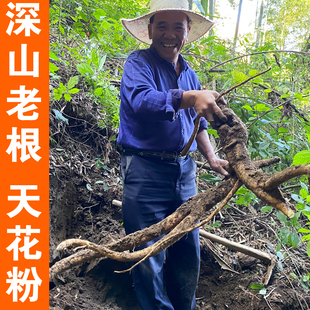 野生天花粉中药材500g正品天花粉片泡水喝新鲜干瓜蒌根栝楼根磨粉