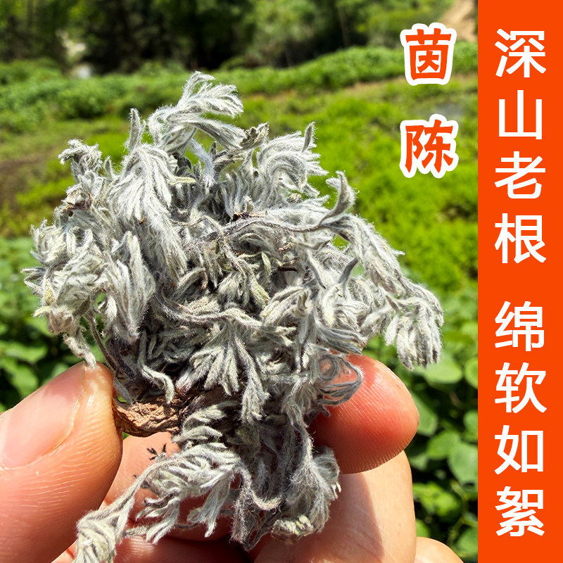 深山茵陈中药材野生茵陈茶三月棉茵陈泡水喝白蒿正品新鲜茵陈干货